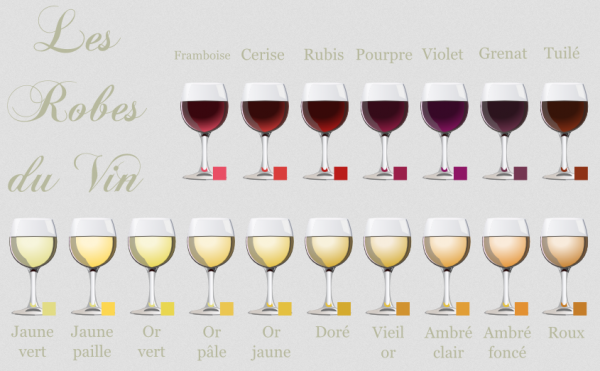 Les nuances de couleurs de la robe d'un vin regorge d'informations