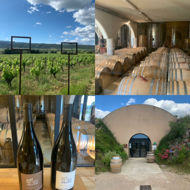 7 domaines à visiter dans les Terrasses du Larzac - Vins du monde